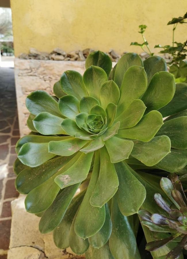 Posada Casa Del Minero Pozos  Luaran gambar